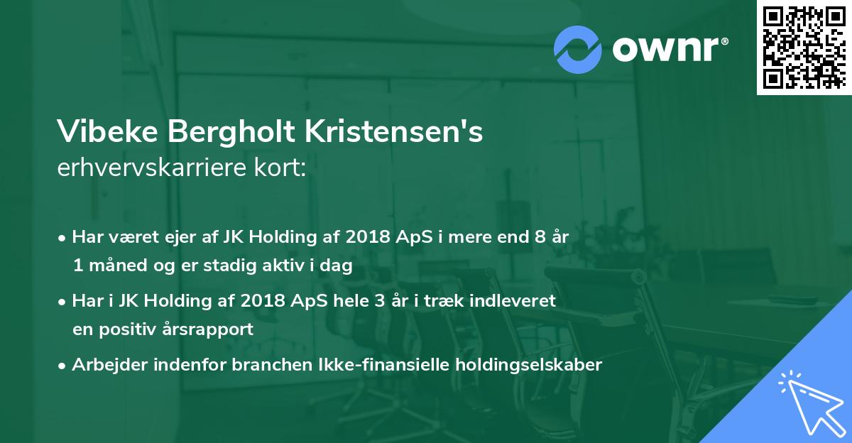 Vibeke Bergholt Kristensen's erhvervskarriere kort
