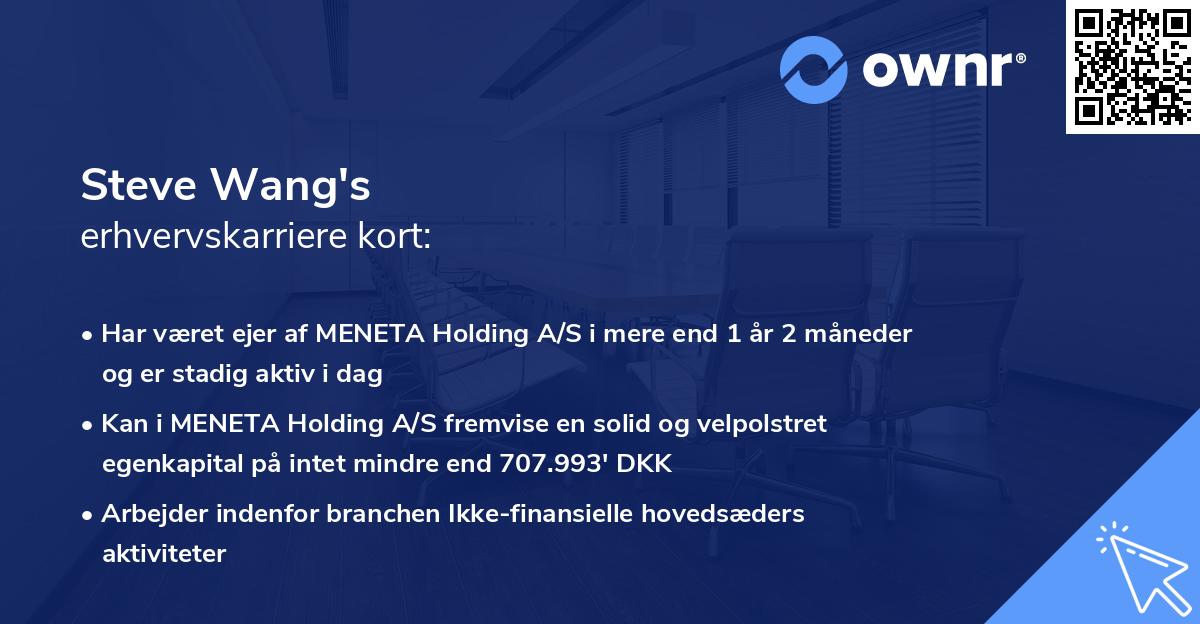 Steve Wang's erhvervskarriere kort