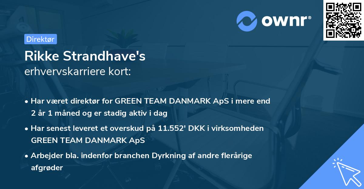 Rikke Strandhave's erhvervskarriere kort