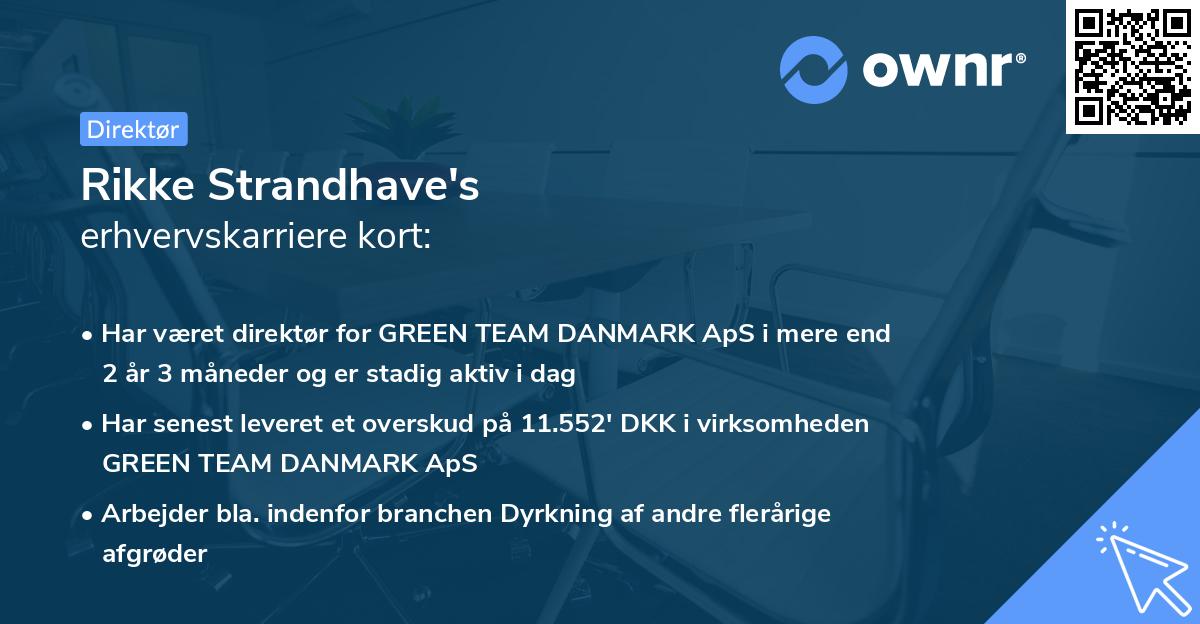 Rikke Strandhave's erhvervskarriere kort