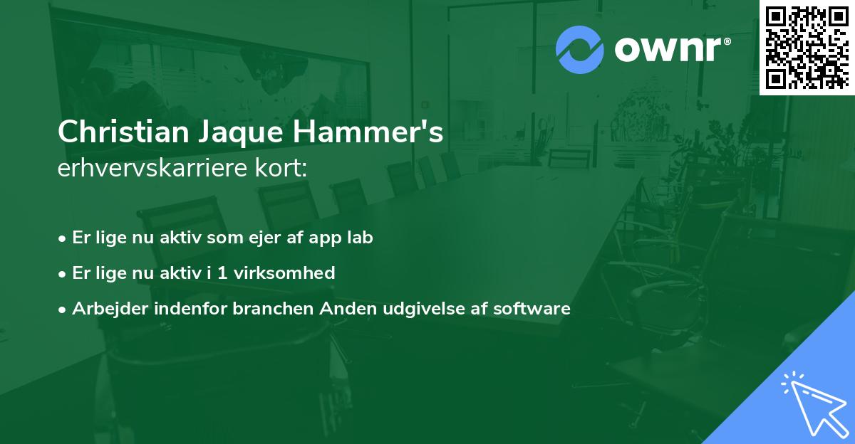 Christian Jaque Hammer's erhvervskarriere kort