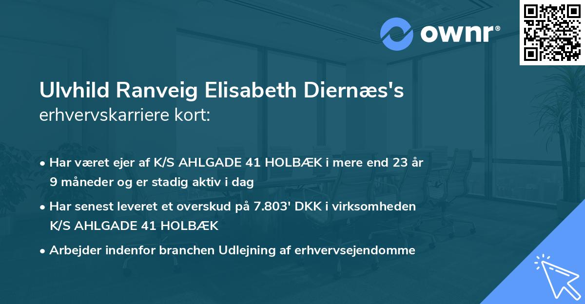 Ulvhild Ranveig Elisabeth Diernæs's erhvervskarriere kort