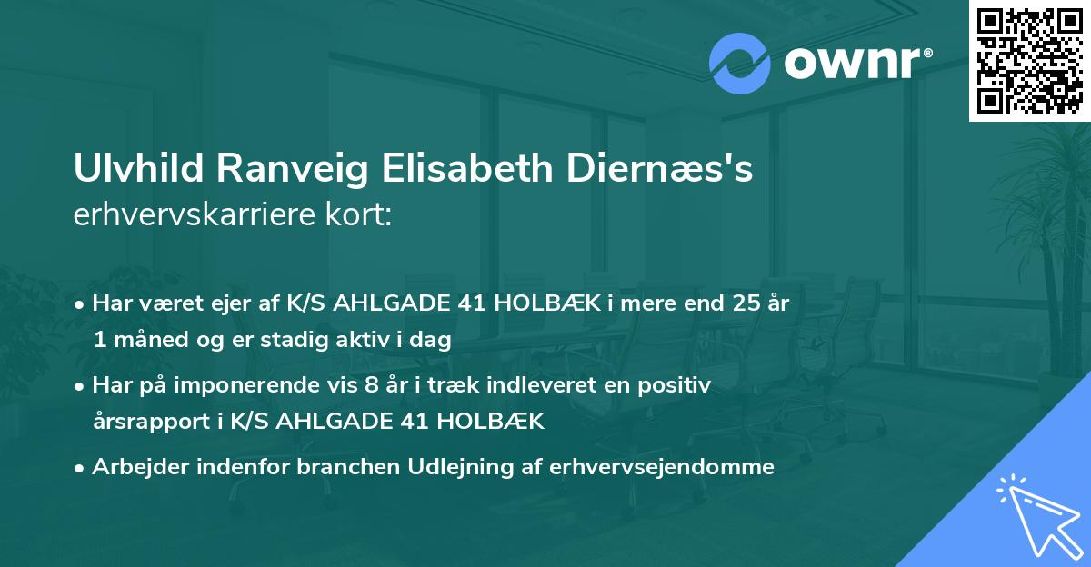 Ulvhild Ranveig Elisabeth Diernæs's erhvervskarriere kort