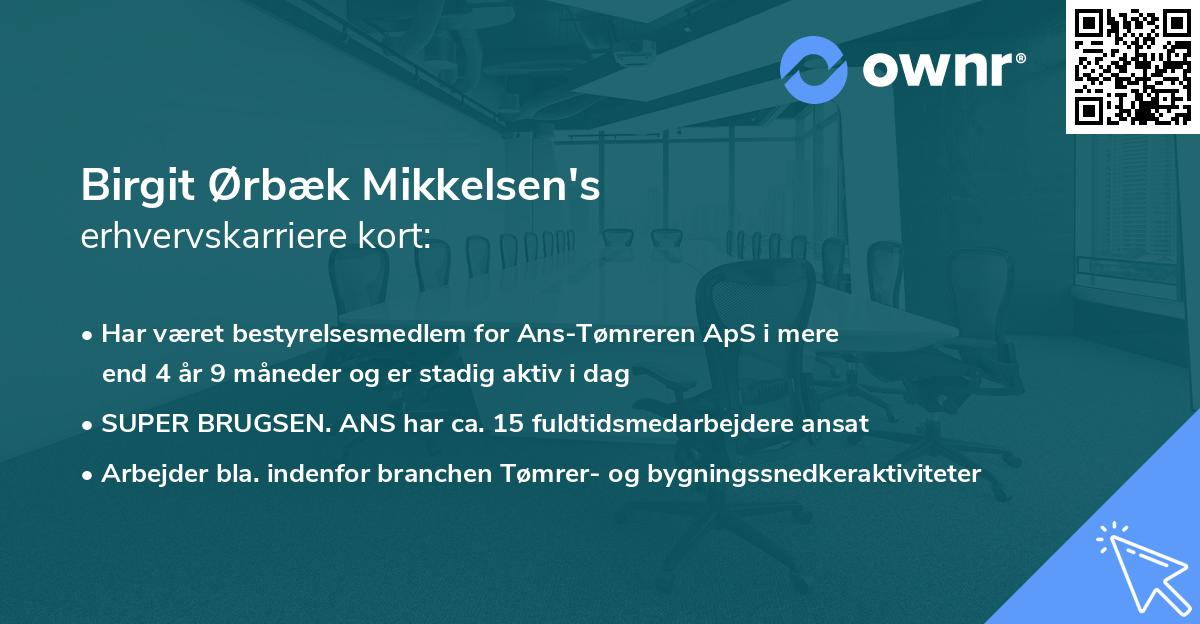 Birgit Ørbæk Mikkelsen's erhvervskarriere kort