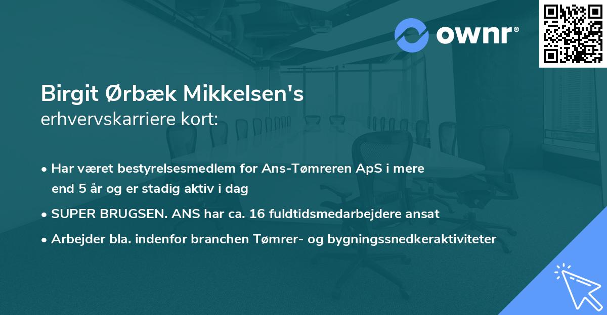 Birgit Ørbæk Mikkelsen's erhvervskarriere kort