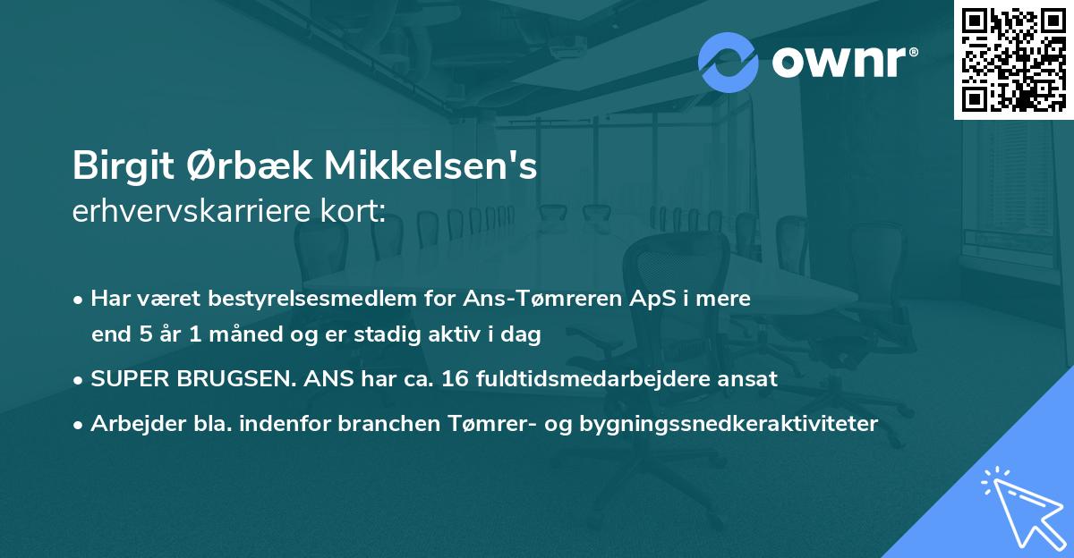 Birgit Ørbæk Mikkelsen's erhvervskarriere kort