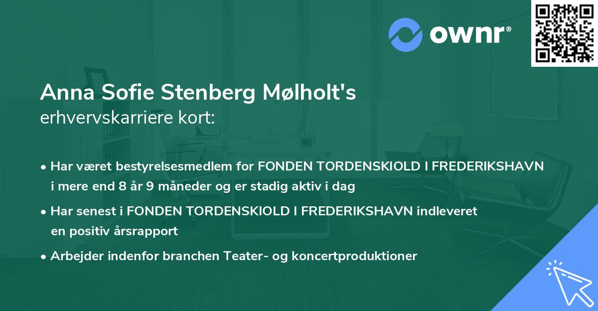 Anna Sofie Stenberg Mølholt's erhvervskarriere kort