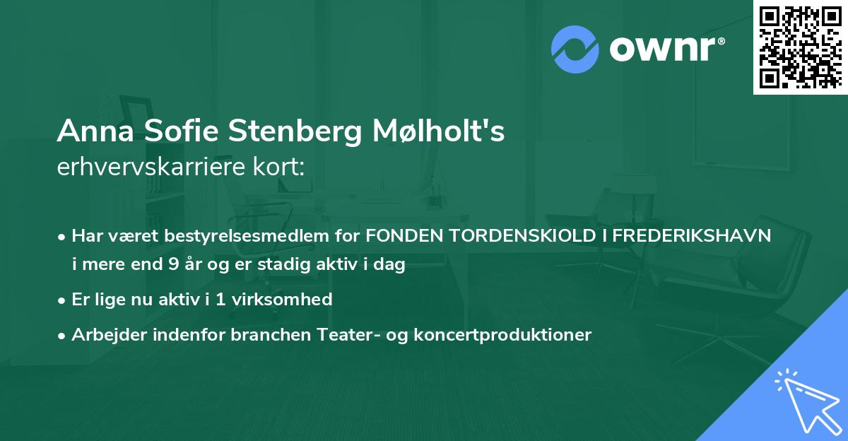 Anna Sofie Stenberg Mølholt's erhvervskarriere kort