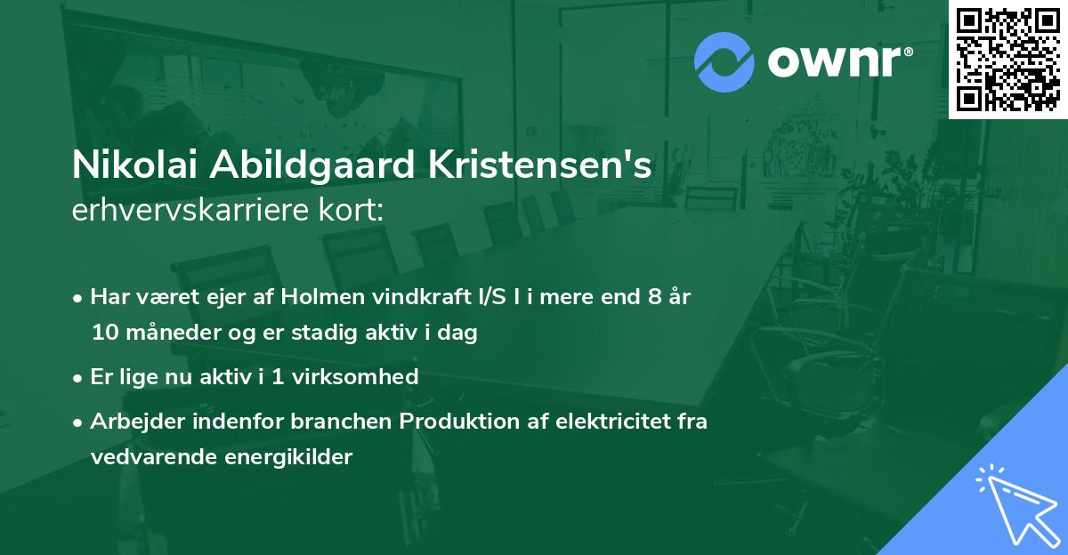 Nikolai Abildgaard Kristensen's erhvervskarriere kort
