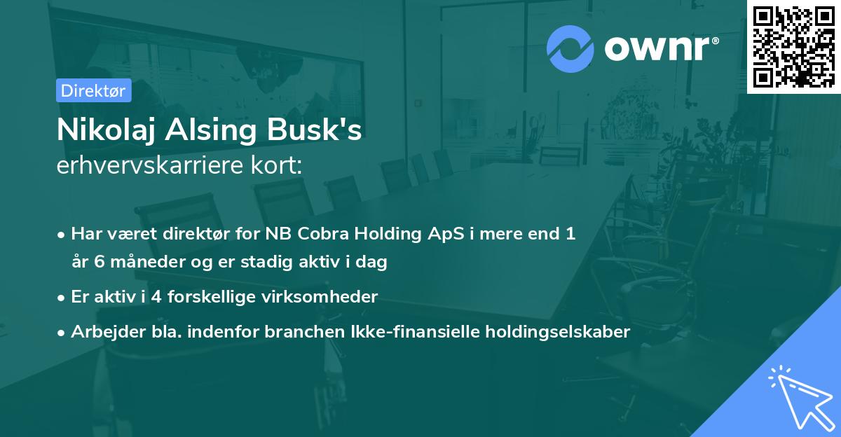 Nikolaj Alsing Busk's erhvervskarriere kort