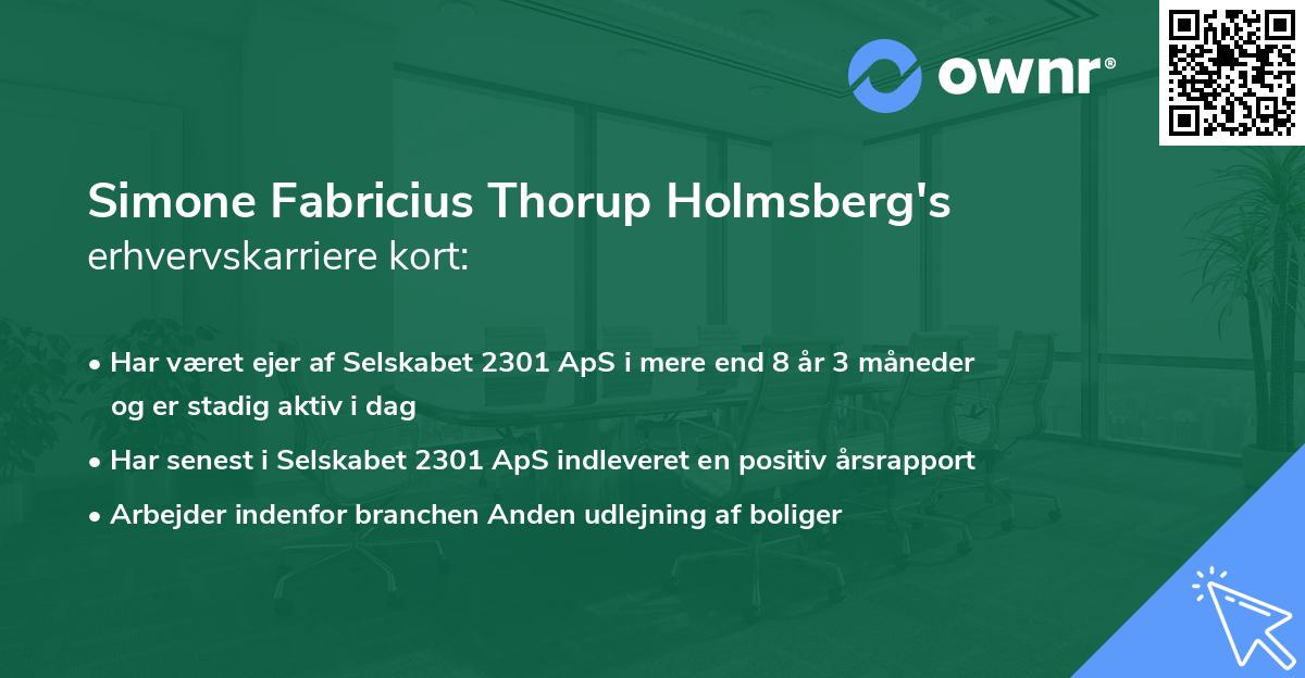 Simone Fabricius Thorup Holmsberg's erhvervskarriere kort