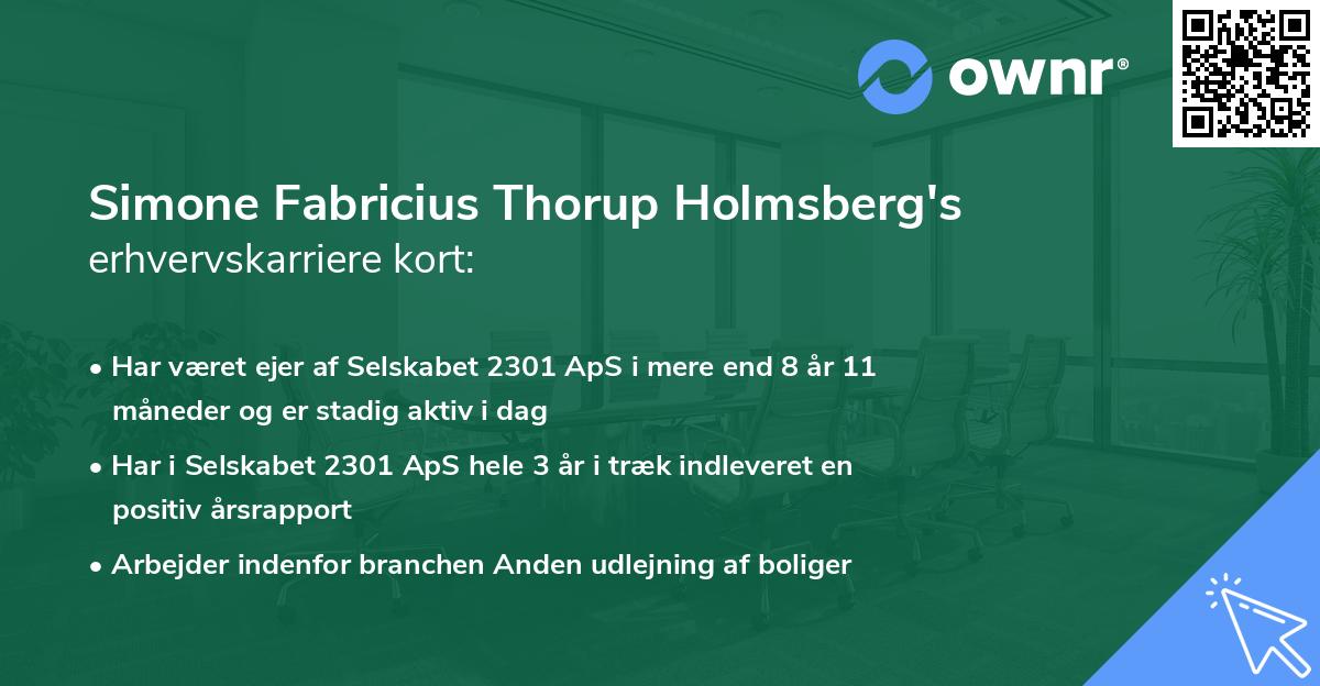 Simone Fabricius Thorup Holmsberg's erhvervskarriere kort