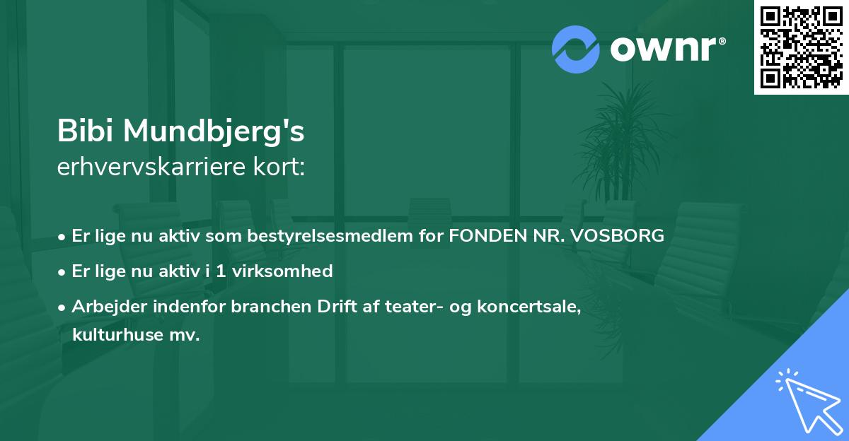 Bibi Mundbjerg's erhvervskarriere kort