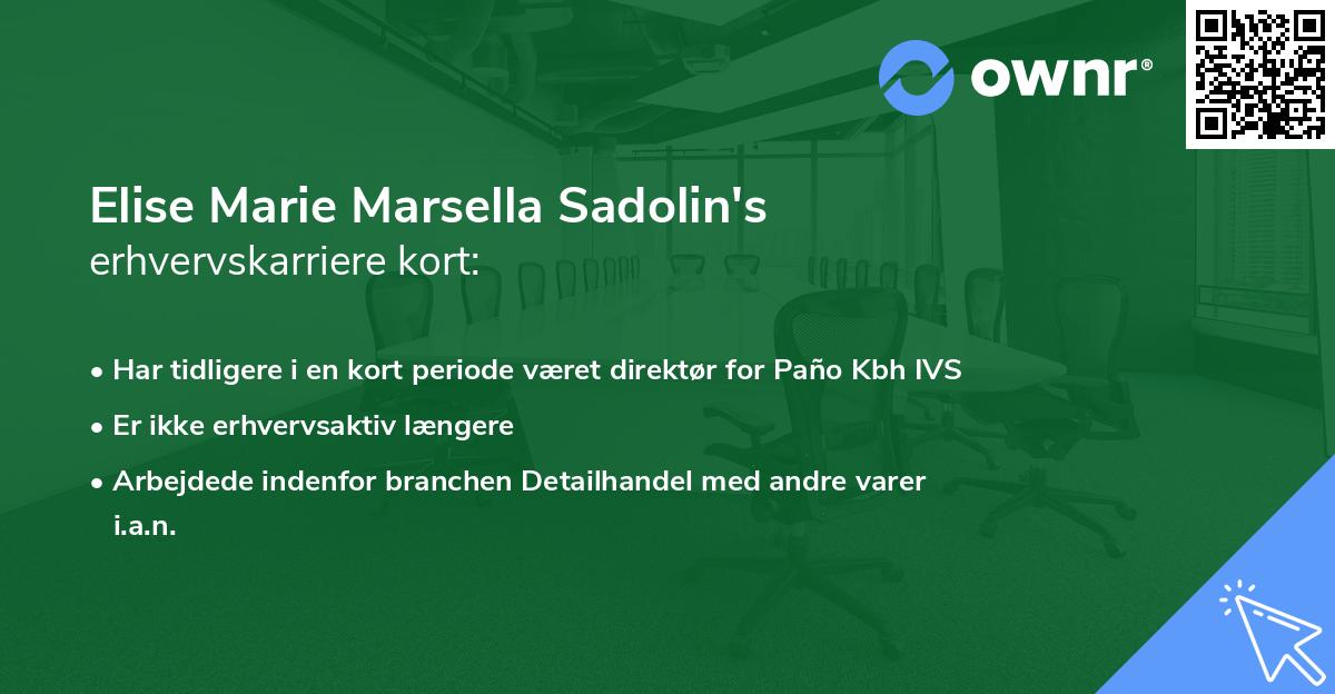 Elise Marie Marsella Sadolin's erhvervskarriere kort