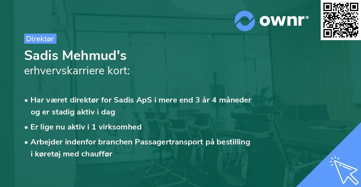 Sadis Mehmud's erhvervskarriere kort