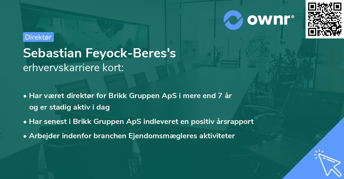 Sebastian Feyock-Beres's erhvervskarriere kort