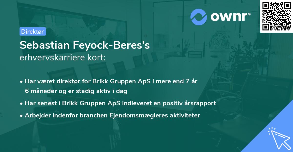 Sebastian Feyock-Beres's erhvervskarriere kort