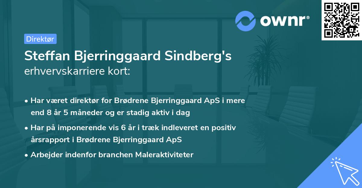 Steffan Bjerringgaard Sindberg's erhvervskarriere kort