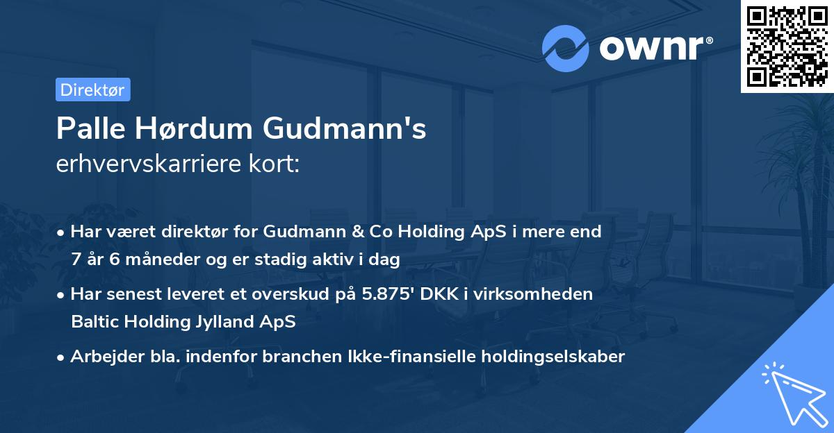 Palle Hørdum Gudmann's erhvervskarriere kort