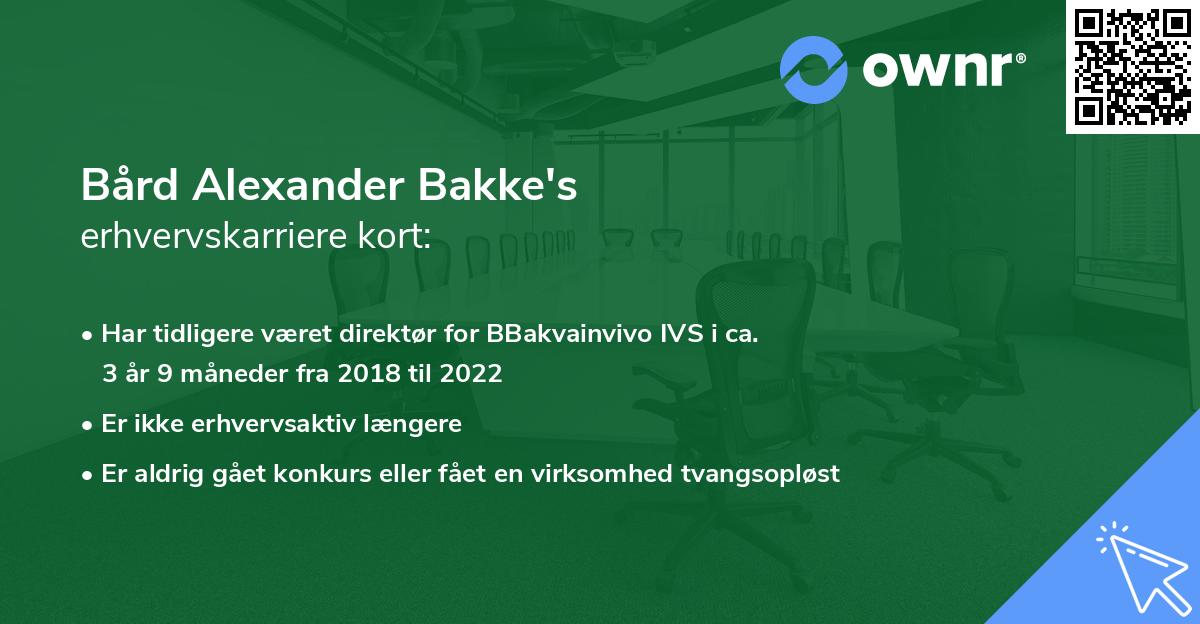 Bård Alexander Bakke's erhvervskarriere kort