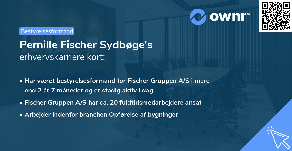 Pernille Fischer Sydbøge's erhvervskarriere kort