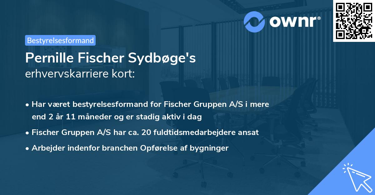 Pernille Fischer Sydbøge's erhvervskarriere kort