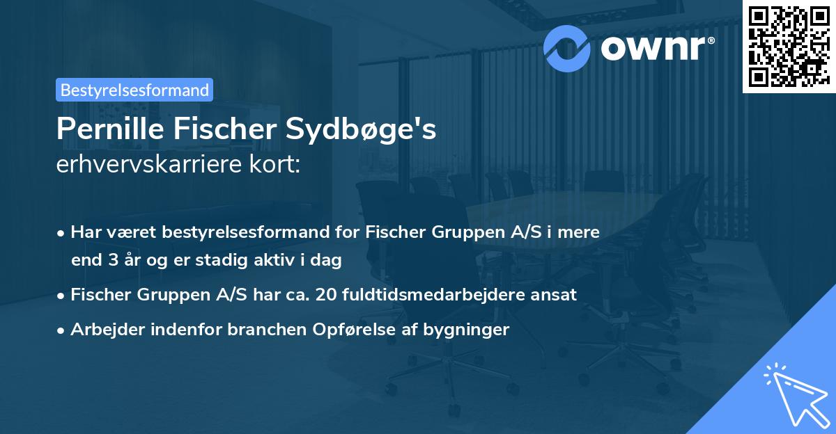 Pernille Fischer Sydbøge's erhvervskarriere kort
