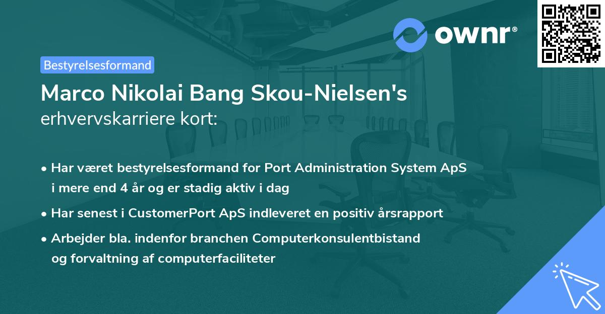 Marco Nikolai Bang Skou-Nielsen's erhvervskarriere kort
