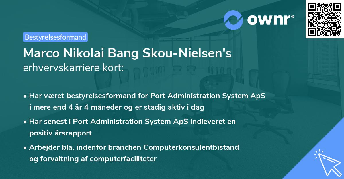 Marco Nikolai Bang Skou-Nielsen's erhvervskarriere kort