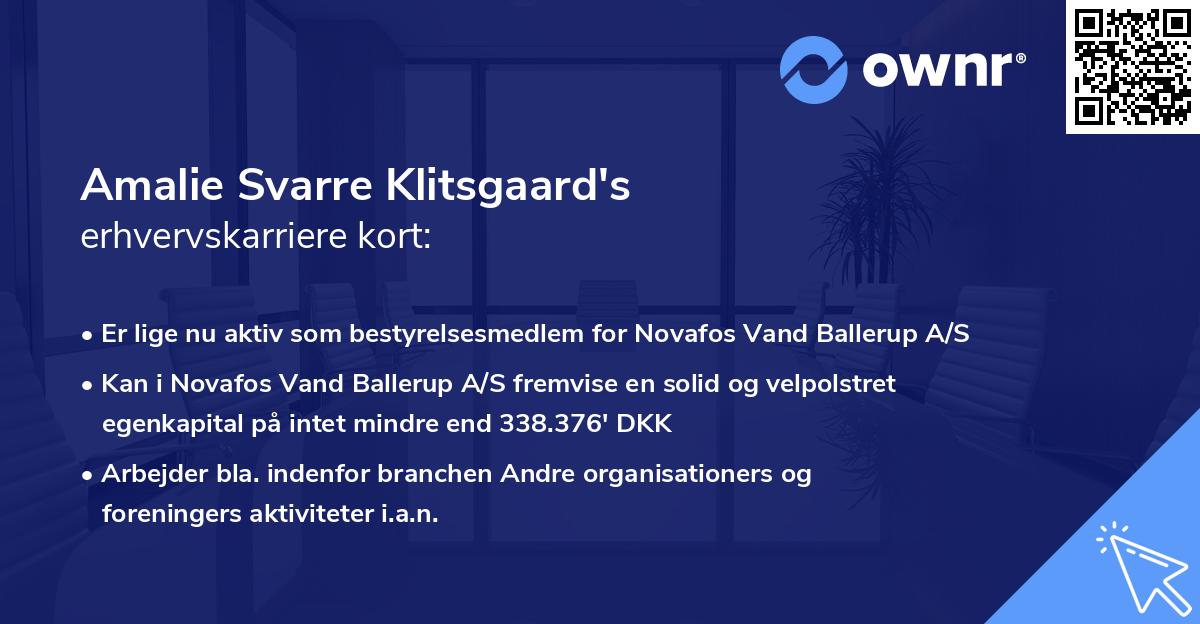 Amalie Svarre Klitsgaard's erhvervskarriere kort