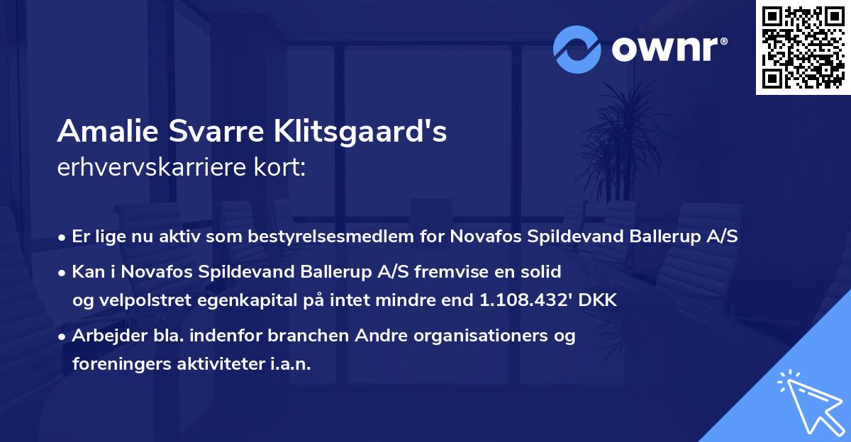 Amalie Svarre Klitsgaard's erhvervskarriere kort