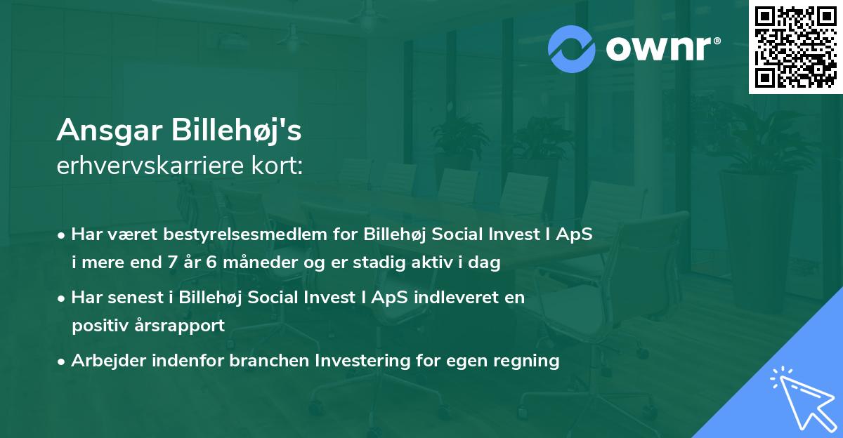 Ansgar Billehøj's erhvervskarriere kort