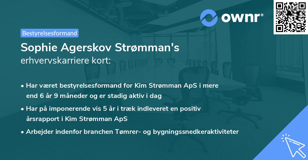 Sophie Agerskov Strømman's erhvervskarriere kort