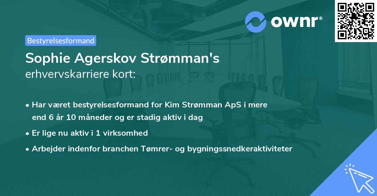 Sophie Agerskov Strømman's erhvervskarriere kort