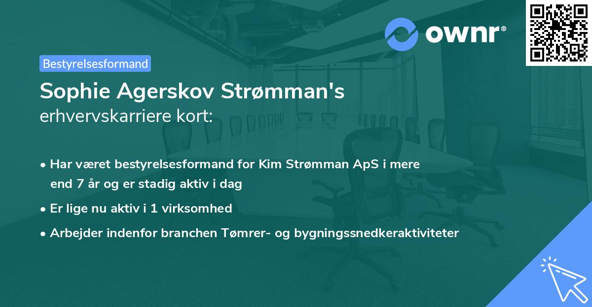 Sophie Agerskov Strømman's erhvervskarriere kort