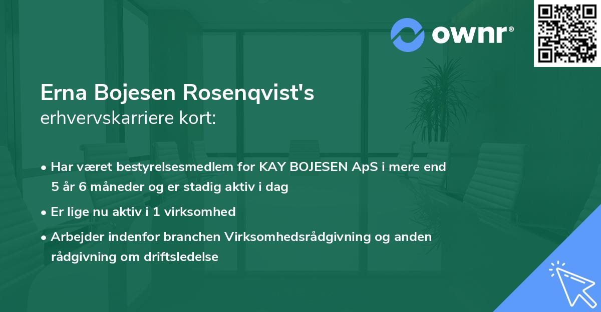 Erna Bojesen Rosenqvist's erhvervskarriere kort