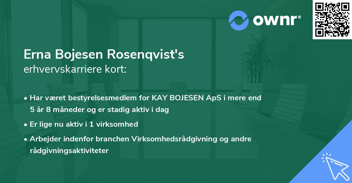 Erna Bojesen Rosenqvist's erhvervskarriere kort