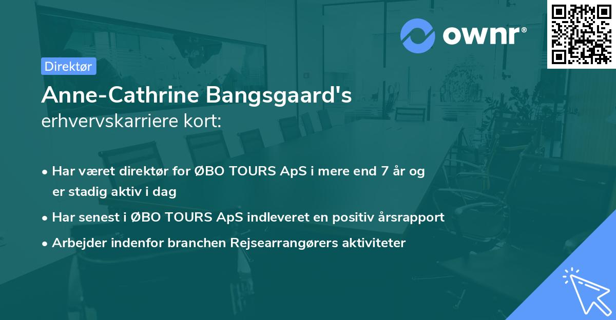 Anne-Cathrine Bangsgaard's erhvervskarriere kort