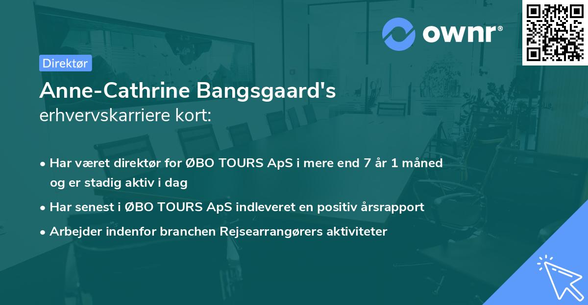 Anne-Cathrine Bangsgaard's erhvervskarriere kort