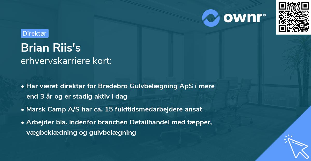 Brian Riis's erhvervskarriere kort