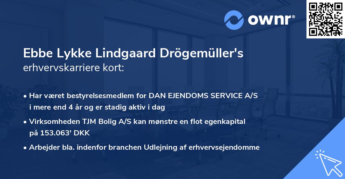 Ebbe Lykke Lindgaard Drögemüller's erhvervskarriere kort