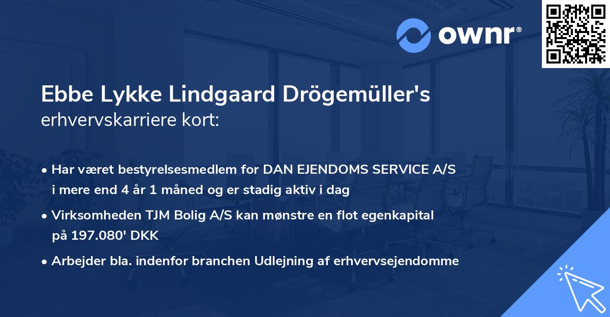 Ebbe Lykke Lindgaard Drögemüller's erhvervskarriere kort
