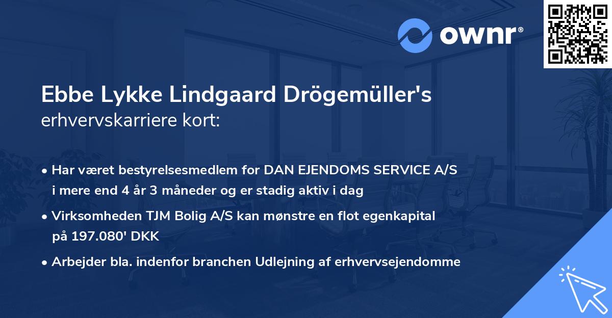 Ebbe Lykke Lindgaard Drögemüller's erhvervskarriere kort