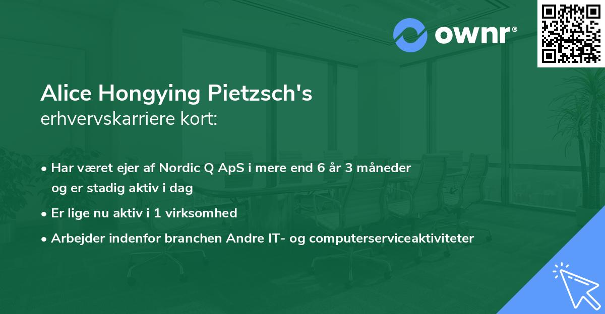Alice Hongying Pietzsch's erhvervskarriere kort