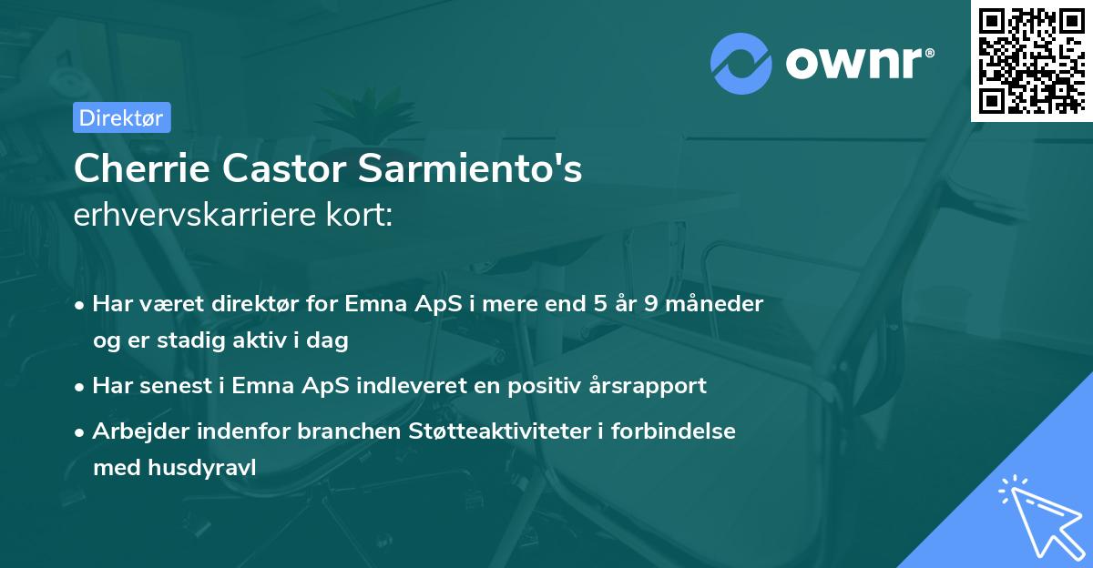 Cherrie Castor Sarmiento's erhvervskarriere kort