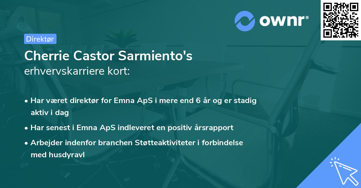 Cherrie Castor Sarmiento's erhvervskarriere kort