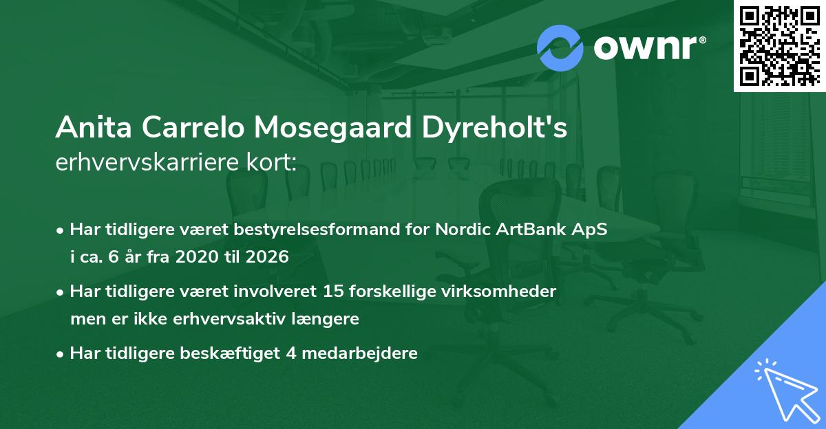 Anita Carrelo Mosegaard Dyreholt's erhvervskarriere kort