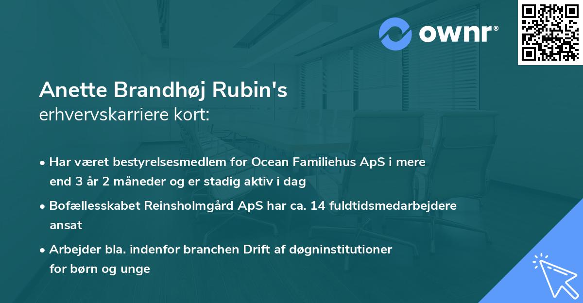 Anette Brandhøj Rubin's erhvervskarriere kort