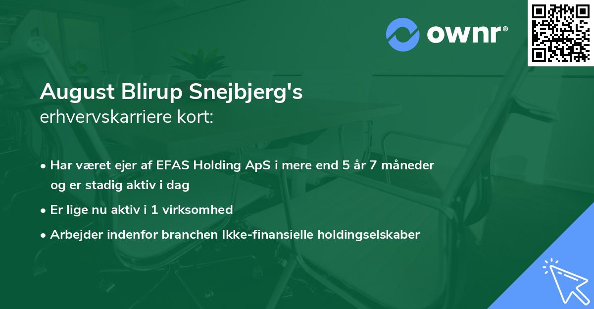 August Blirup Snejbjerg's erhvervskarriere kort