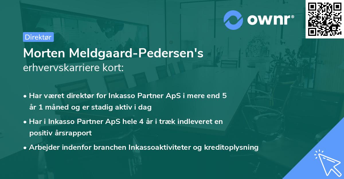 Morten Meldgaard-Pedersen's erhvervskarriere kort